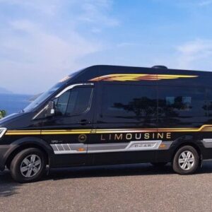Cho thuê Limousine 9 Chỗ